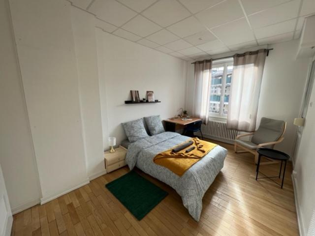 Chambres Privees -Private Room- Dans Un Spacieux Appartement - 100M2 Centre Proche Gare ミュルーズ エクステリア 写真