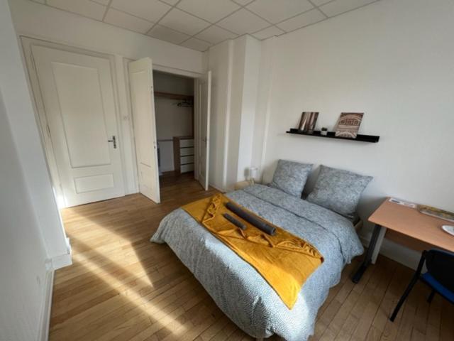 Chambres Privees -Private Room- Dans Un Spacieux Appartement - 100M2 Centre Proche Gare ミュルーズ エクステリア 写真